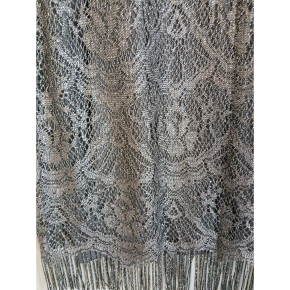 JACKIE JON NEW YORK SILVER LACE FRINGE LINED SHEER  PARTY DRESS W SZ 12 - Picture 11 of 16